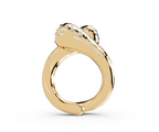 Ring 0101