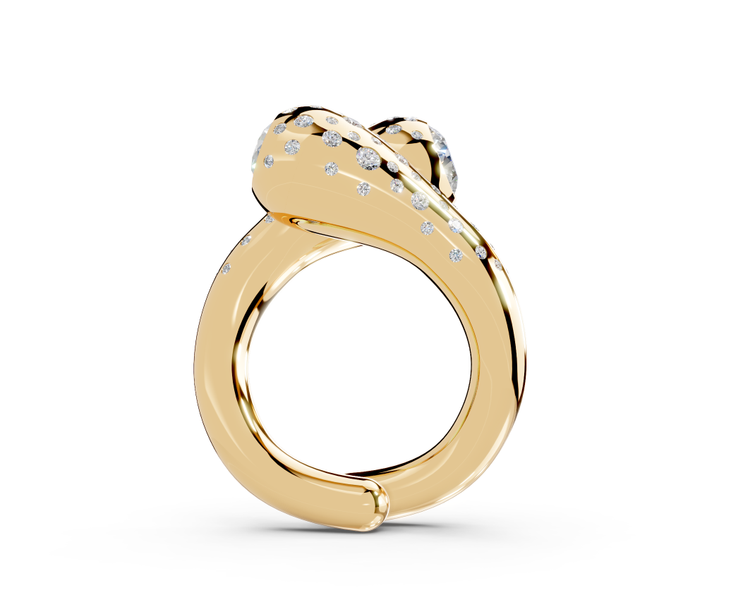 Ring 0101
